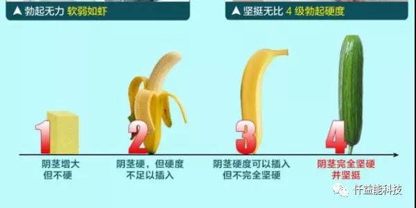 欣生命“牡蛎肽参虫草片”的功效及优势